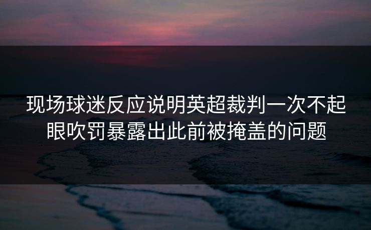 现场球迷反应说明英超裁判一次不起眼吹罚暴露出此前被掩盖的问题  第1张