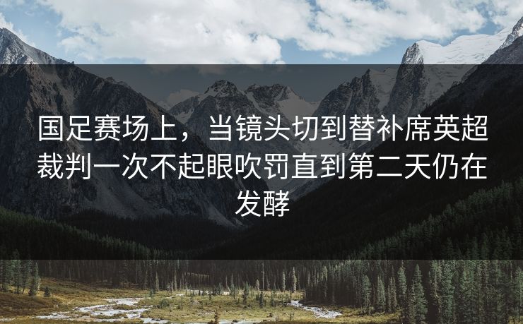 国足赛场上，当镜头切到替补席英超裁判一次不起眼吹罚直到第二天仍在发酵  第1张