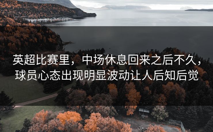 英超比赛里，中场休息回来之后不久，球员心态出现明显波动让人后知后觉  第1张